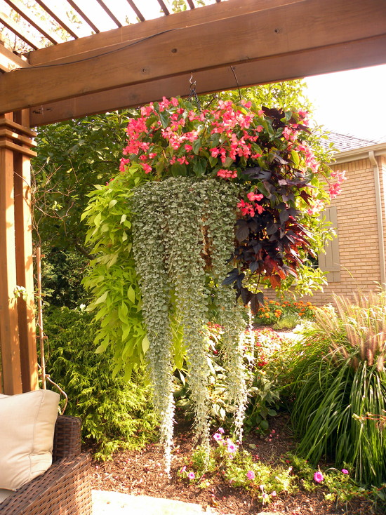 Outdoor Hanging Planter Ideas