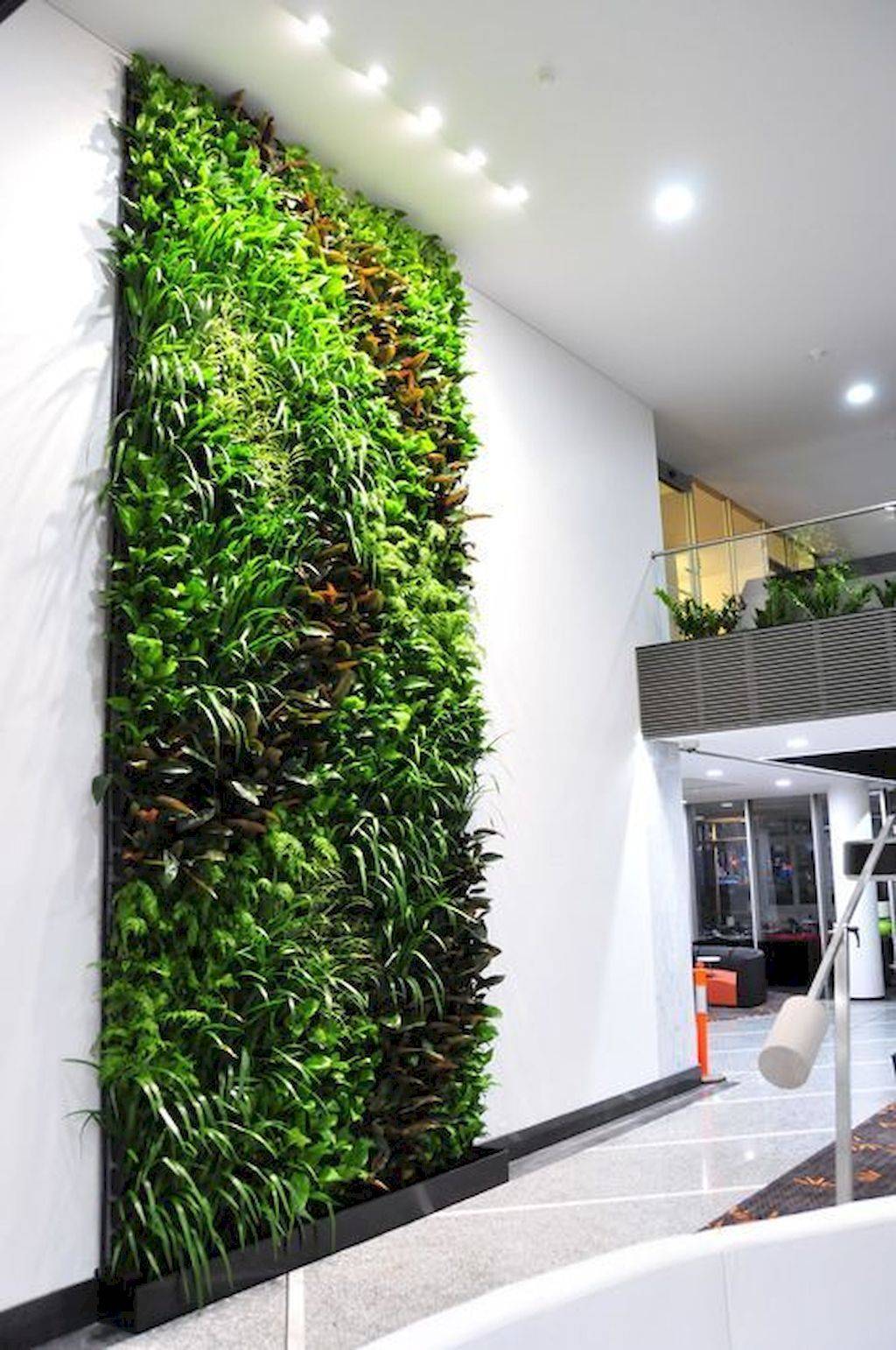 Vertical Garden Services Bangalore