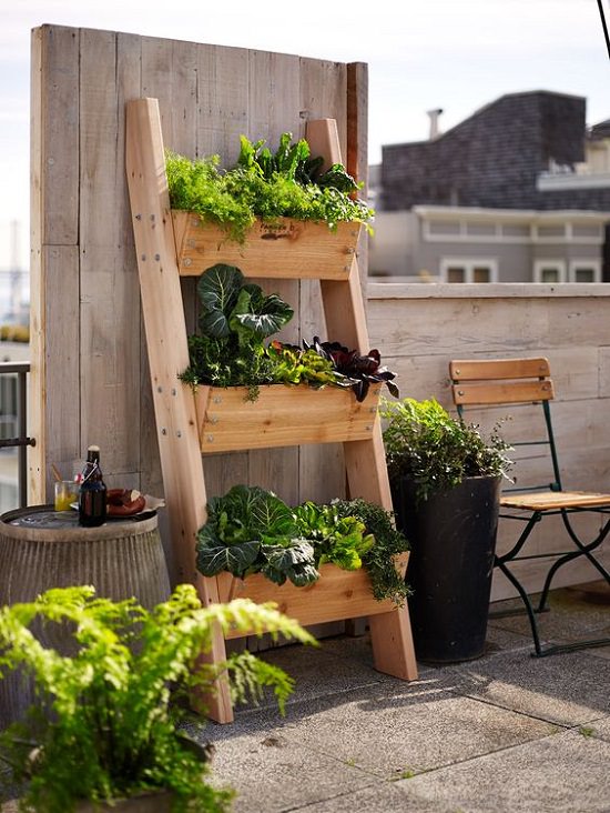 Tiered Planter Ideas