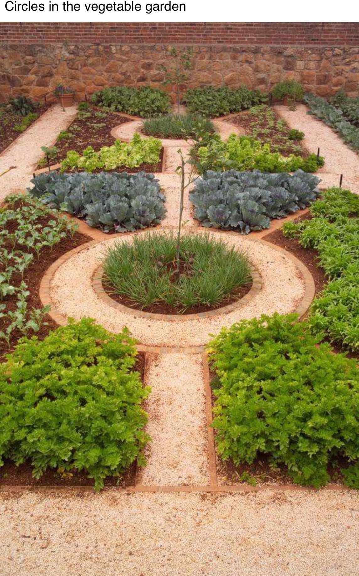The Herb Garden Redefined Butterfly Garden Design