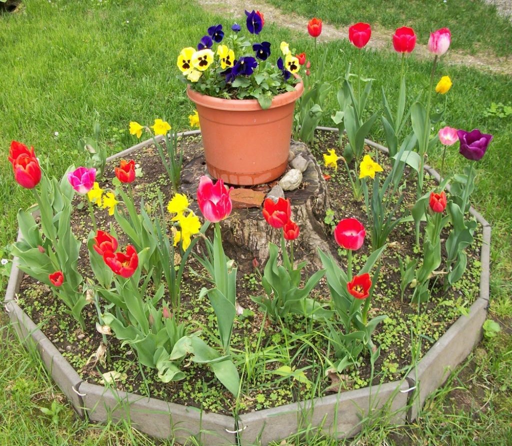 Round Raised Garden Bed Ideas