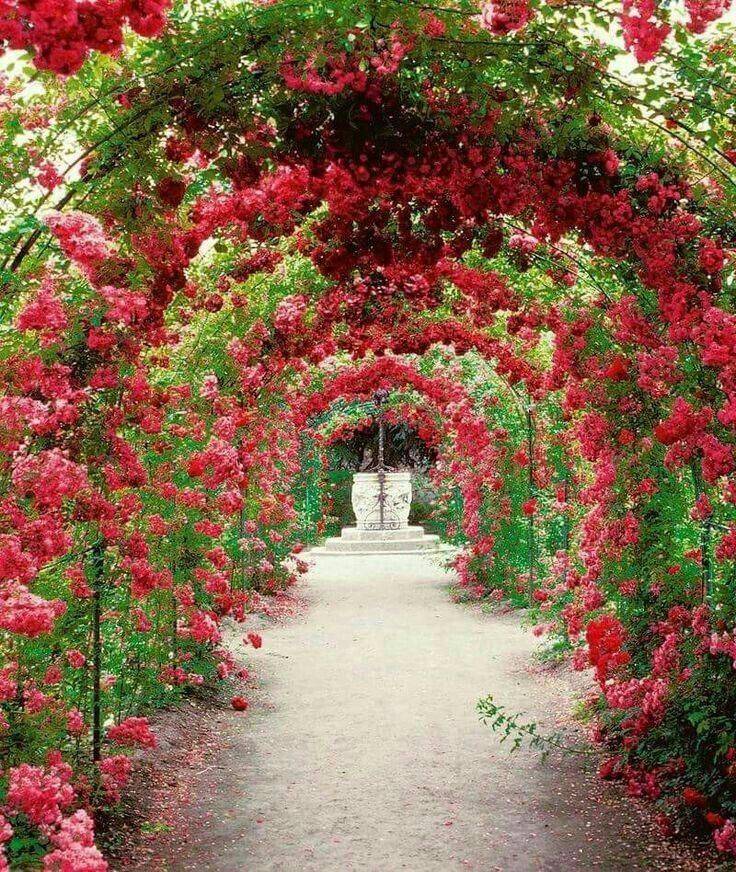 Your Landscape