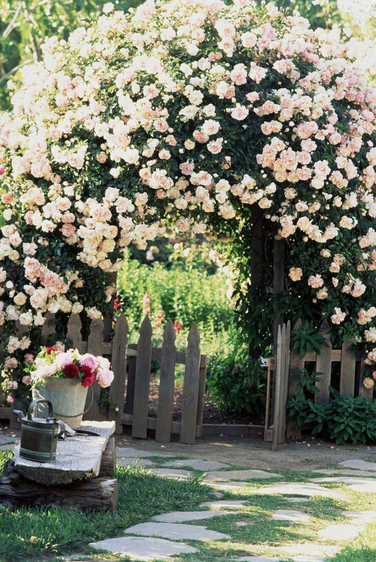 White Flower Farm