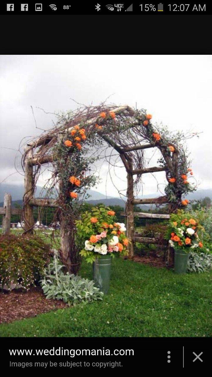 Whiteroseplantinenglishcountrygarden Cottage Garden Design
