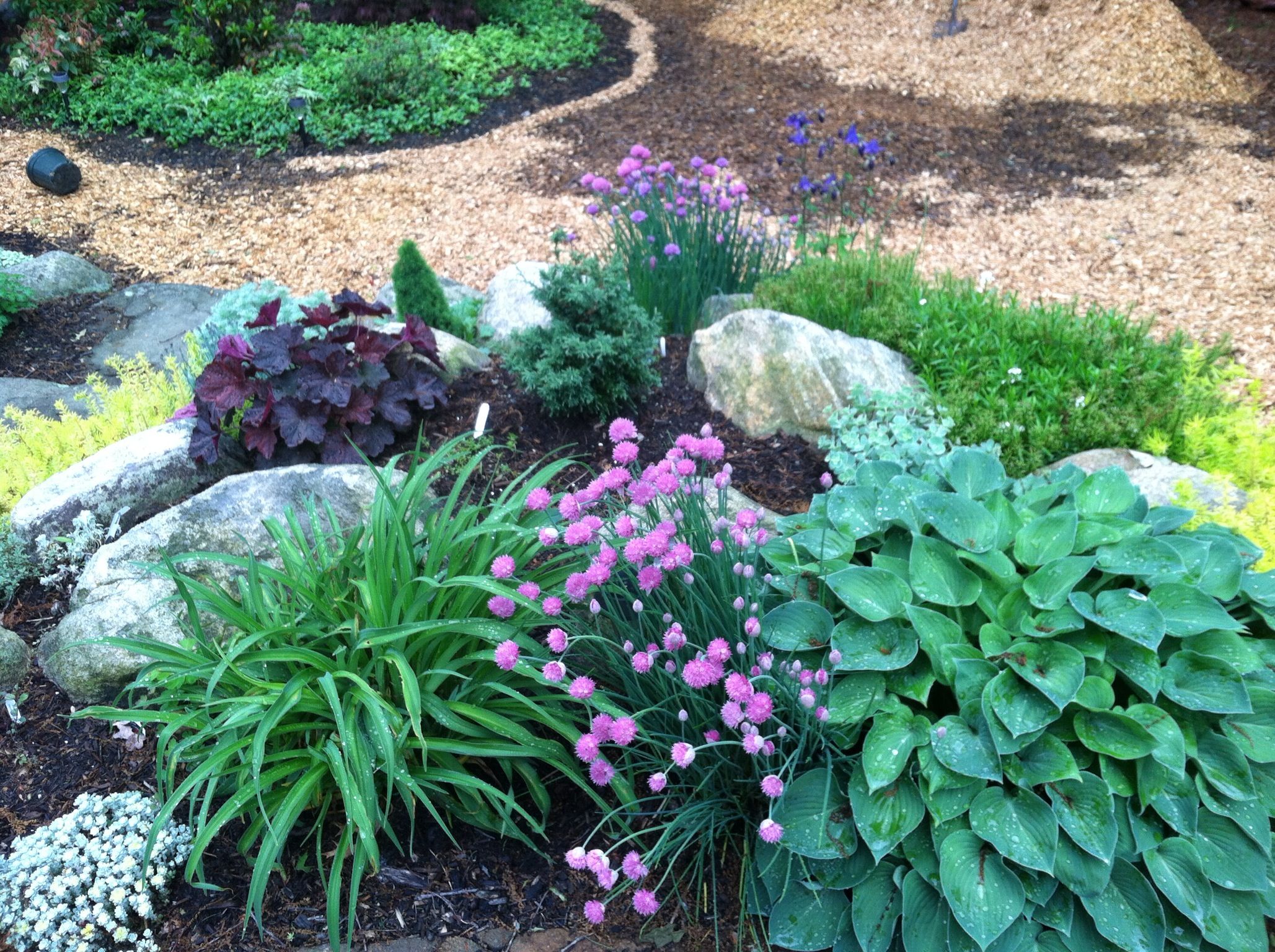 Rock Wall Flower Garden Rock Wall Gardens