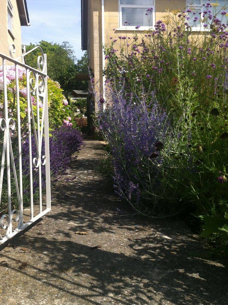 Best Easy Low Budget Diy Squash Arch Ideas