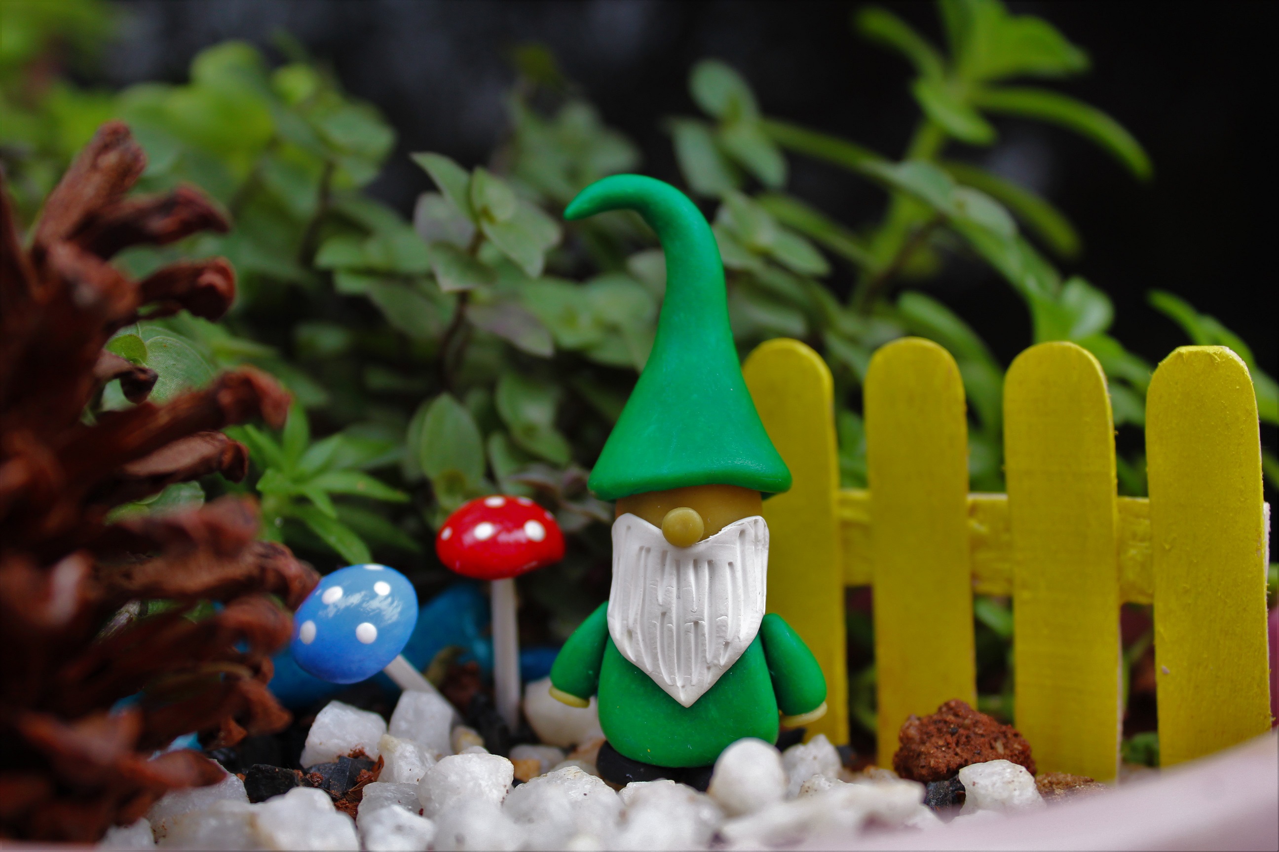 Fairy Garden Seasonal Makeovers