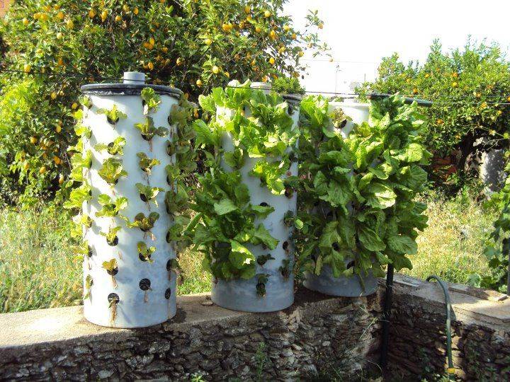 Best Diy Pvc Pipe Planters