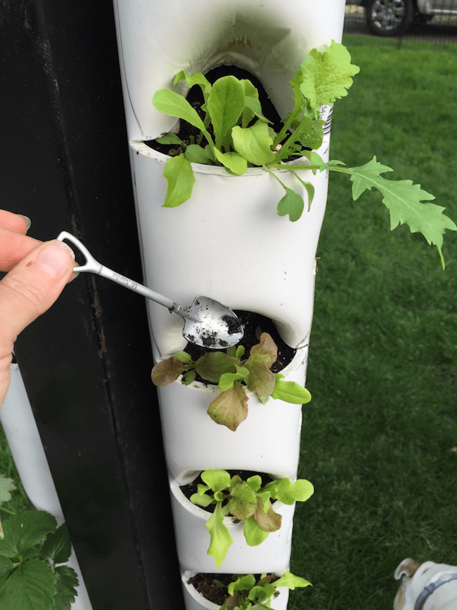 Diy Pvc Pipe Planters