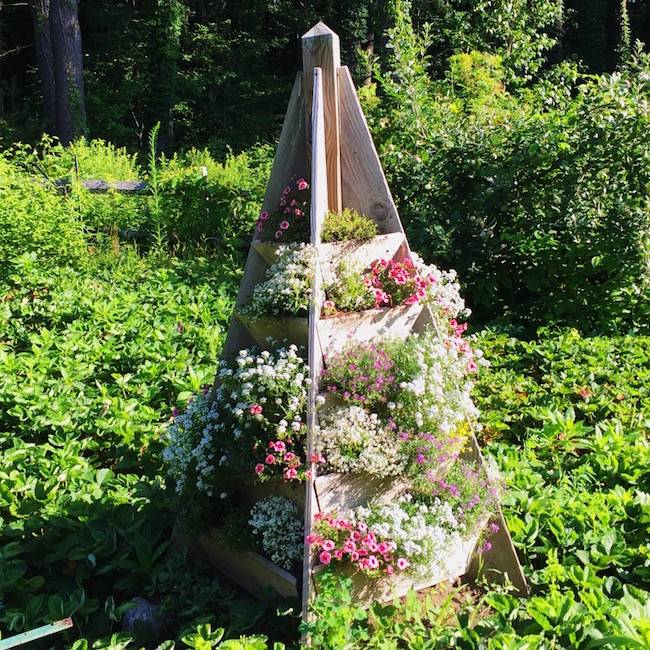 A Square Foot Garden