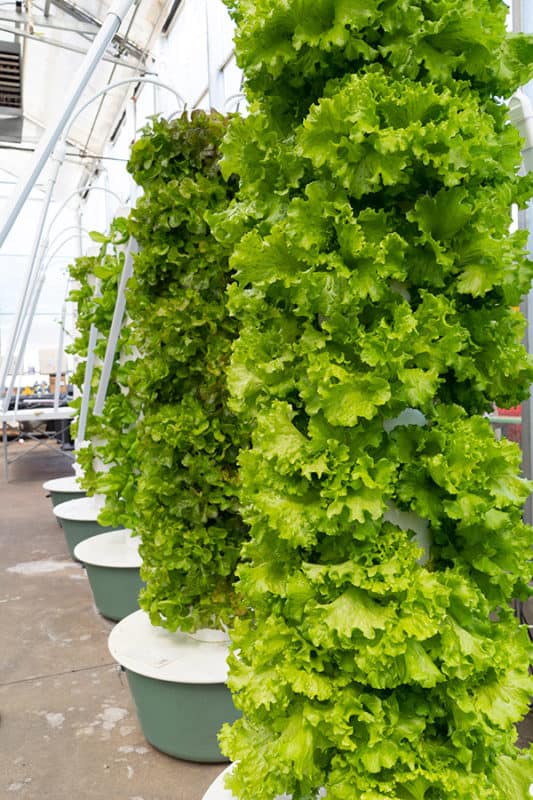 The Coolest Tower Garden Ideas