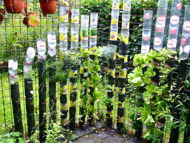 Your Own Tower Garden