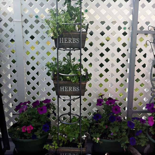 Strawberry Tower Planter Box Plans