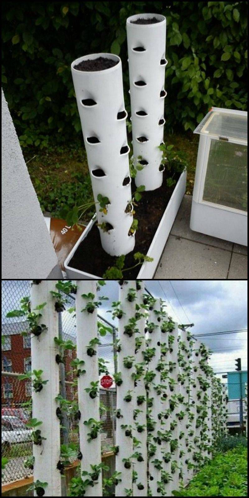 Strawberry Tower Planter Box Plans
