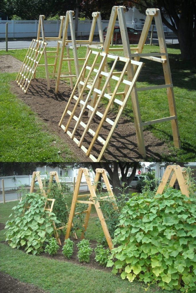 Easy Diy Garden Trellis Ideas