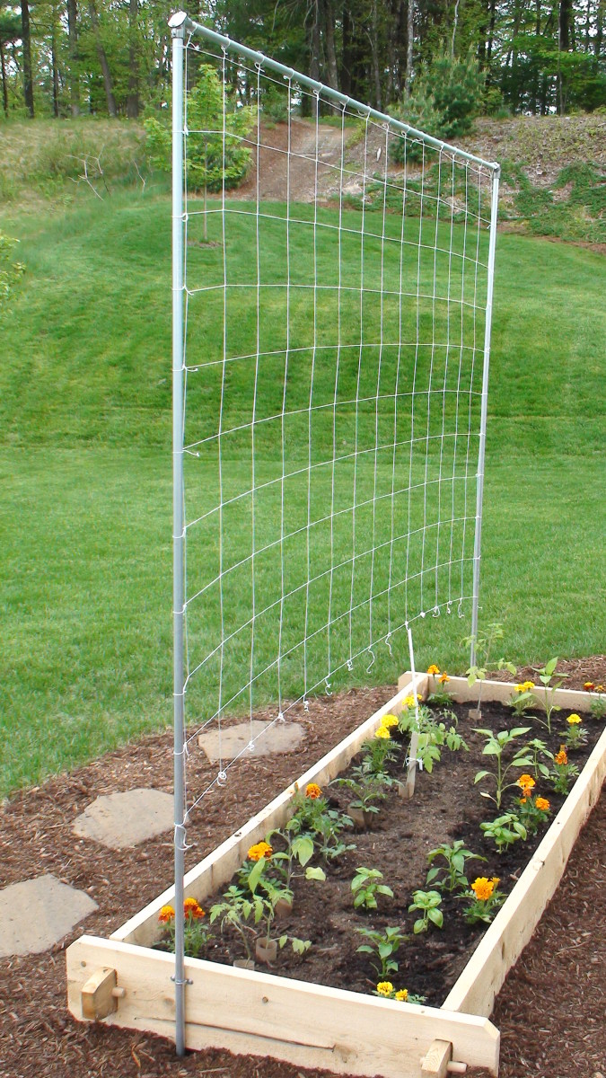 Your Garden Diy Garden Trellis