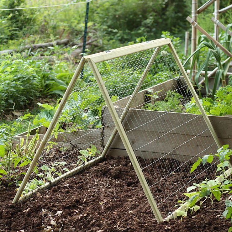 Wondrous Garden Trellis Ideas Matchnesscom Vertical Vegetable