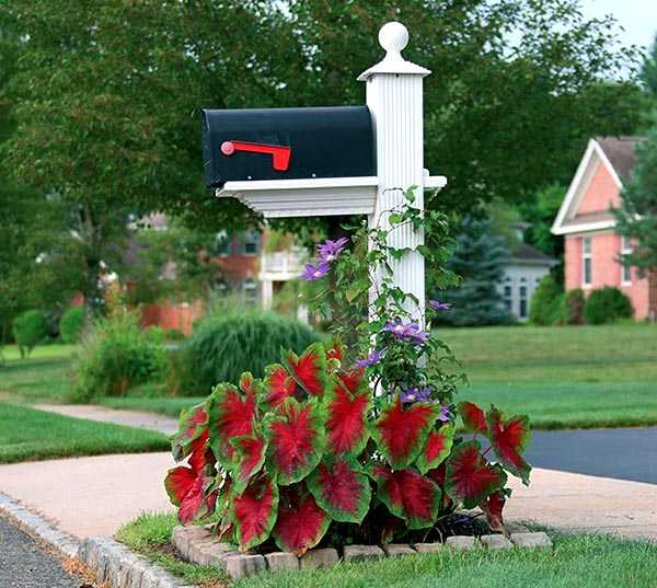Charming Flower Beds
