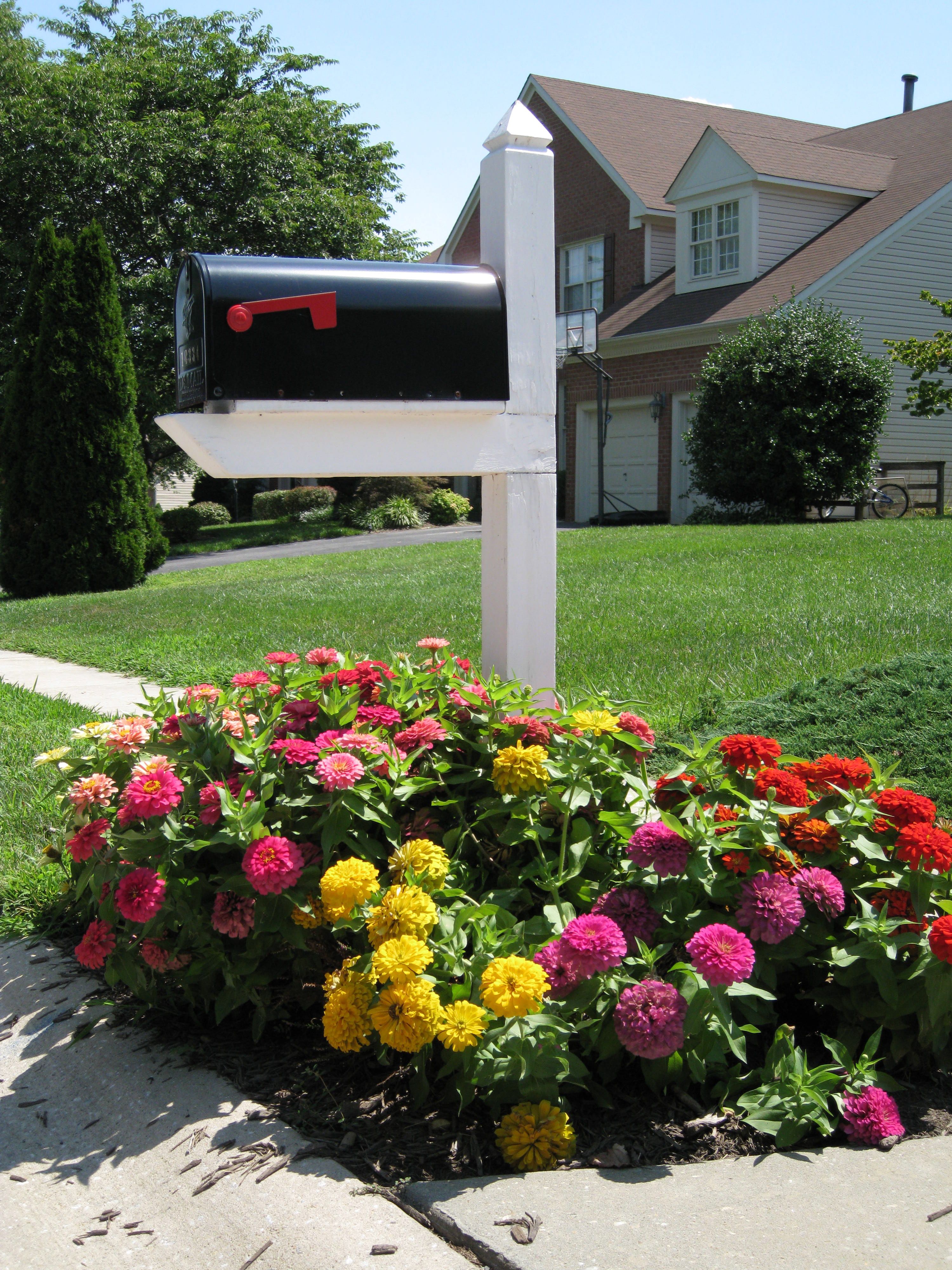 The Mailbox Mailbox Landscaping