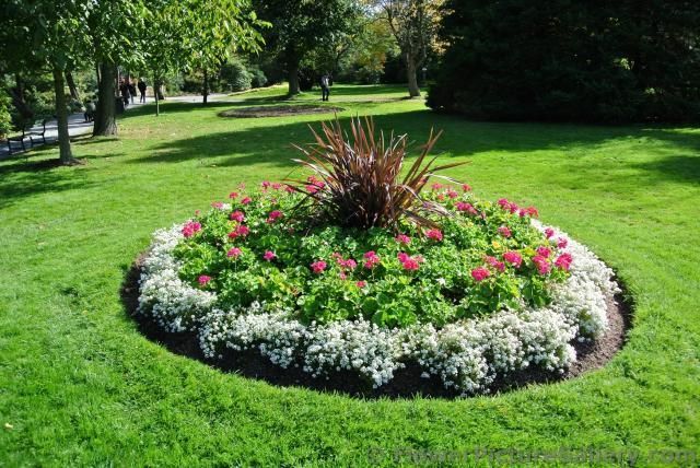 Rock Garden Landscaping