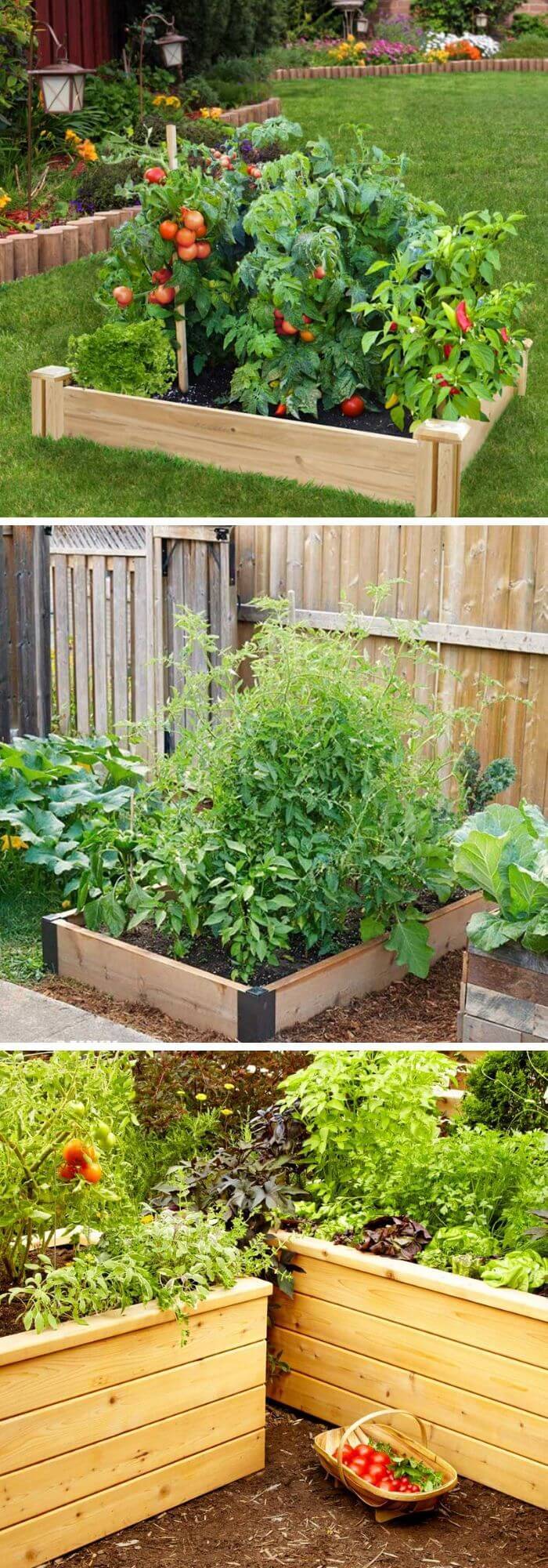 Four Inexpensive Raised Bed Ideas