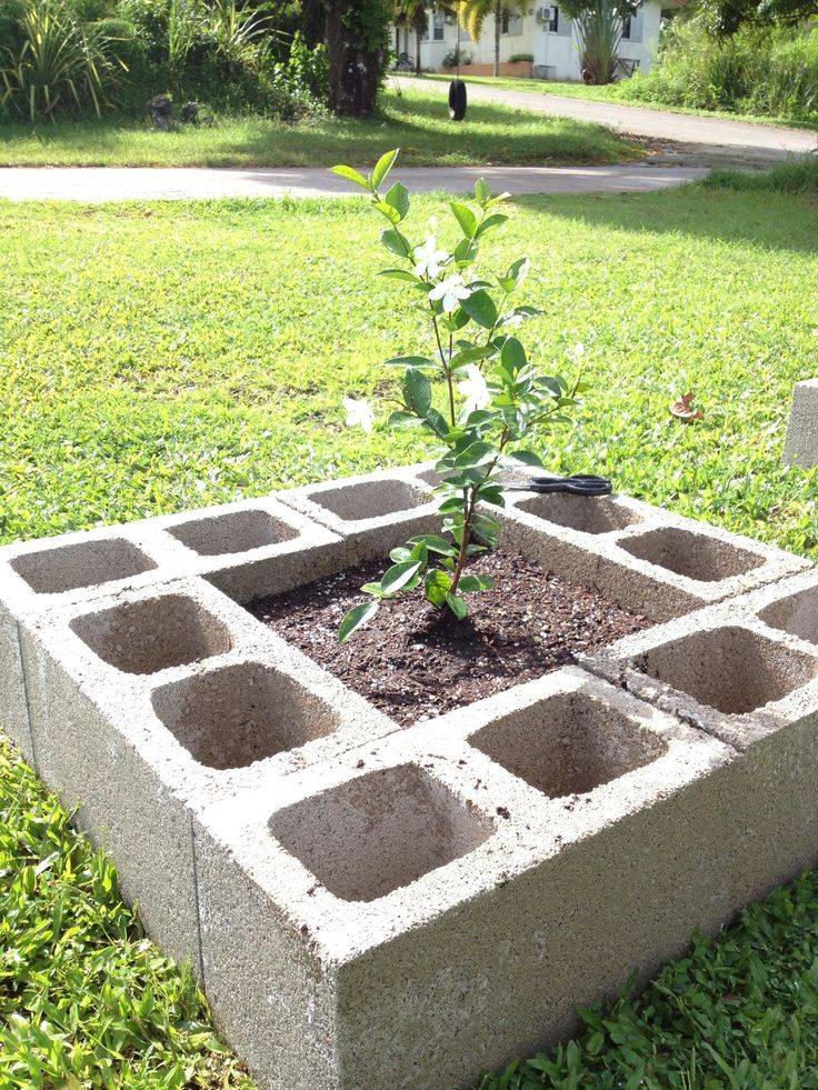 Raised Garden Beds Designs