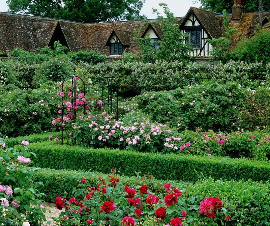 Amazing Cottage Garden Design Ideas Tdesign
