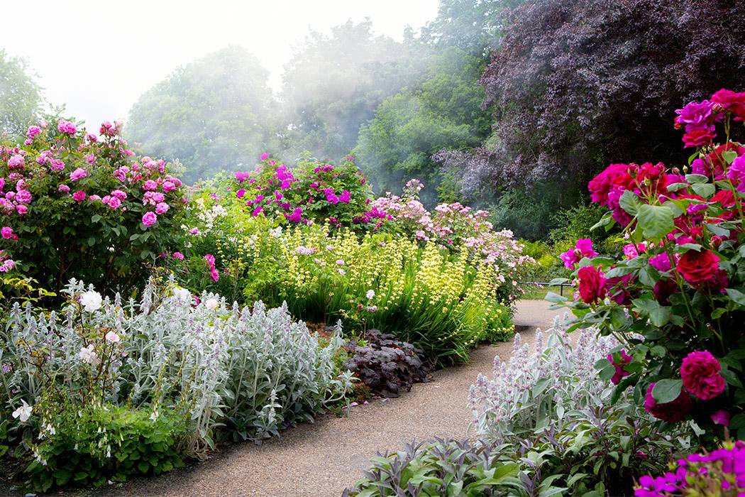 Background English Flower Garden