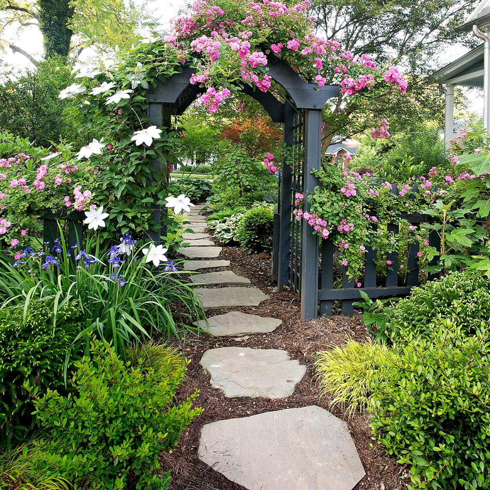 A Cottage Garden Sheilablanchette