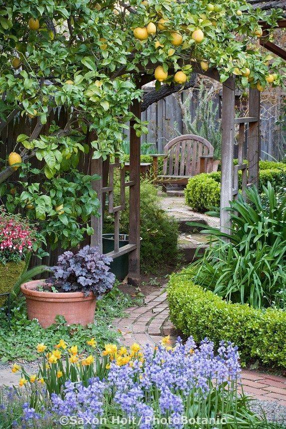 Rustic And Simple Arbor Ideas