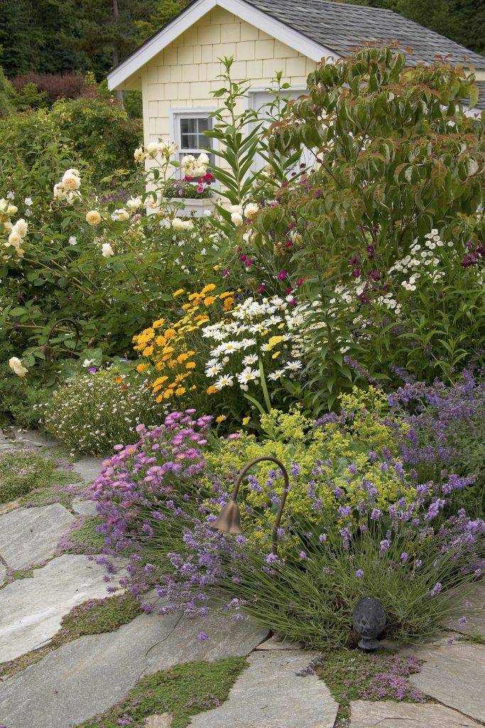 Cottage Garden