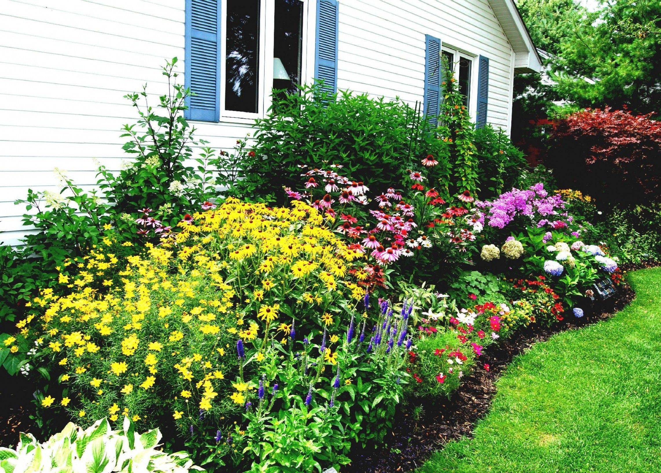Garden Border Planting Ideas