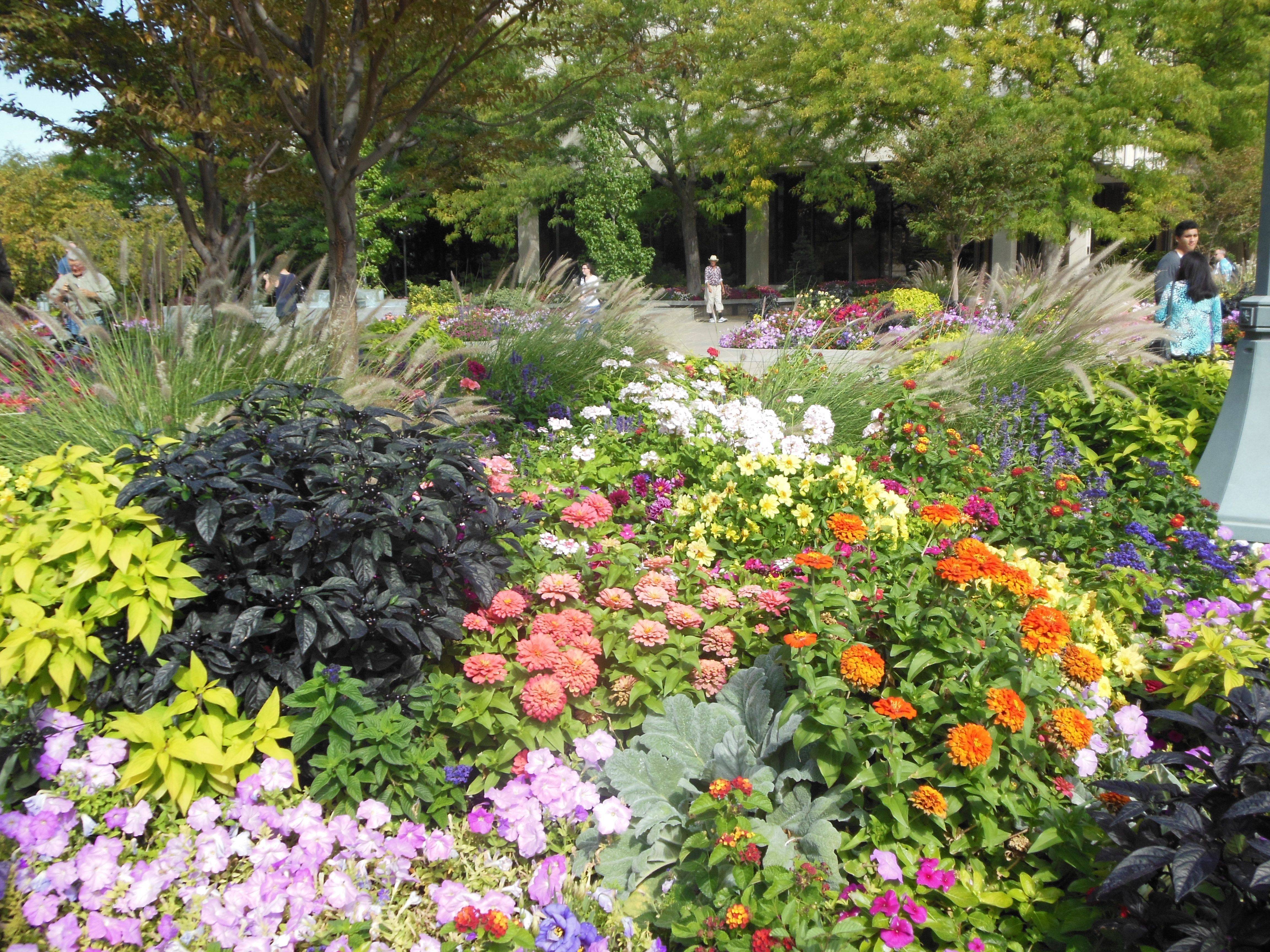 Large Garden Landscaping Ideas Uk