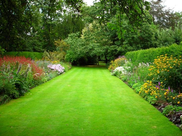 Pin On Garden
