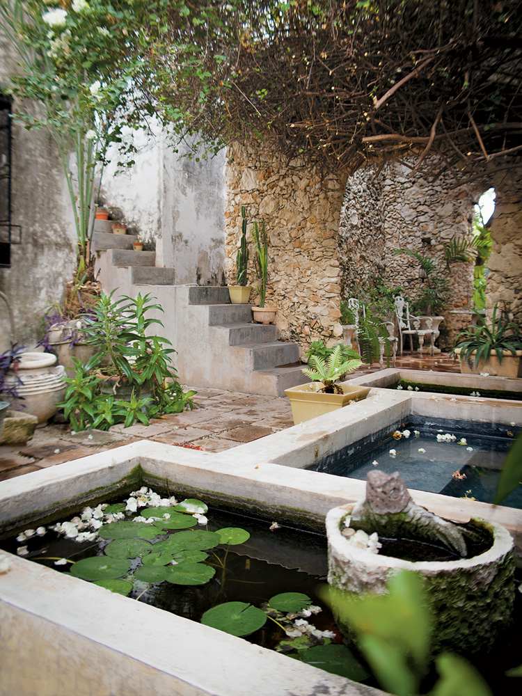 Planting Water Gardens Pond