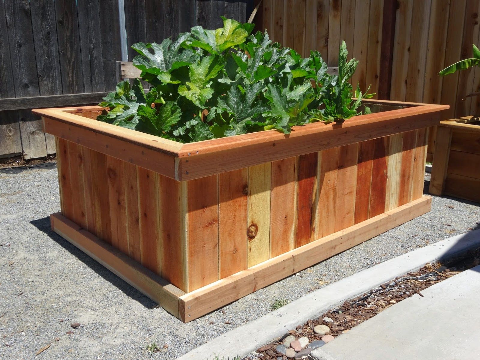 Backyard Garden