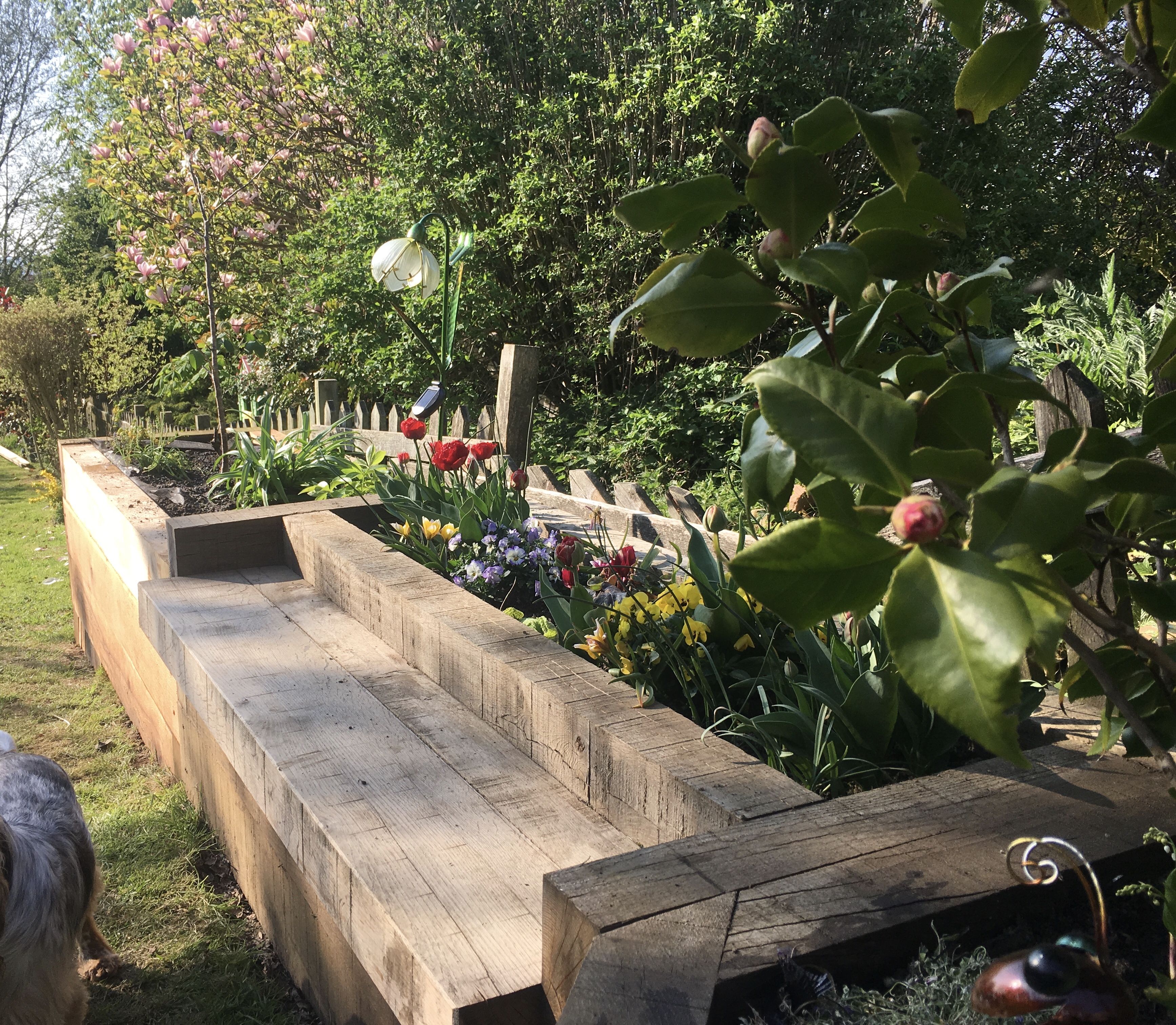 Raised Garden Beds