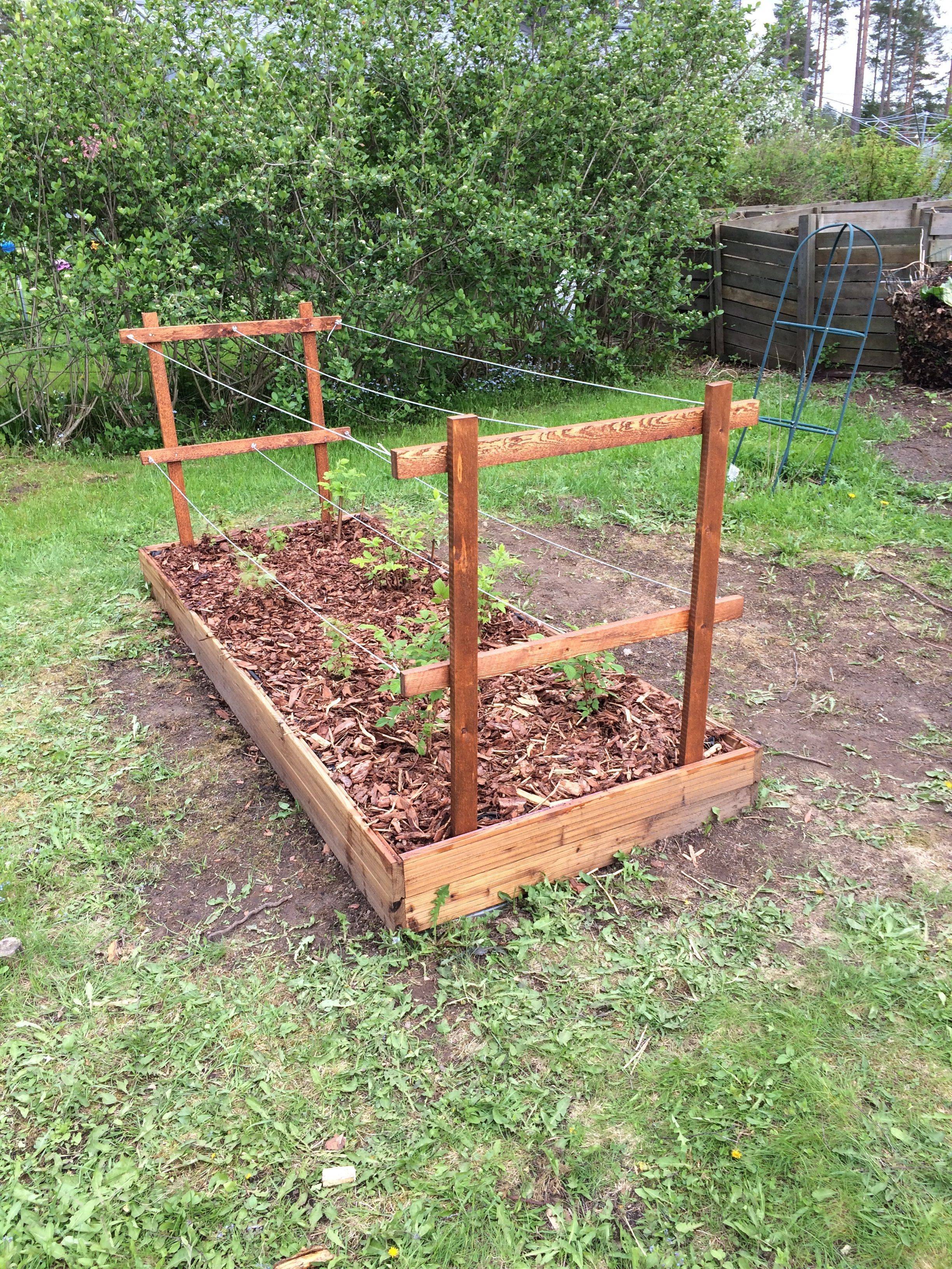 Lifted Garden Landscape Design Tips Diy Raised Garden Elevated