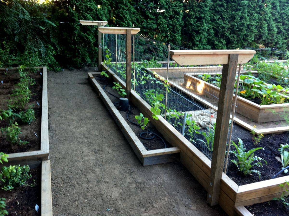 Easy Diy Cucumber Trellis Ideas