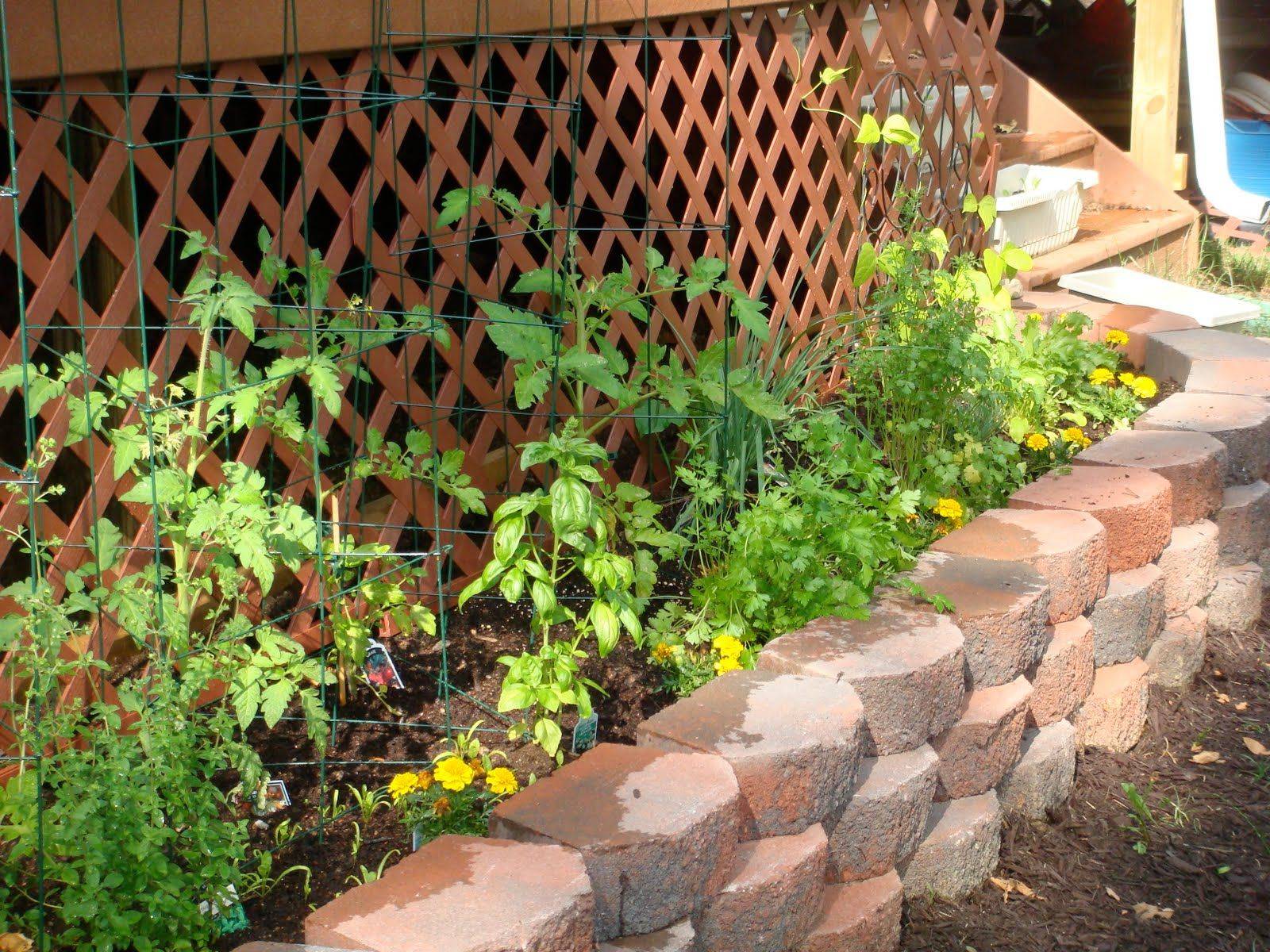 X Raised Bed Gardens