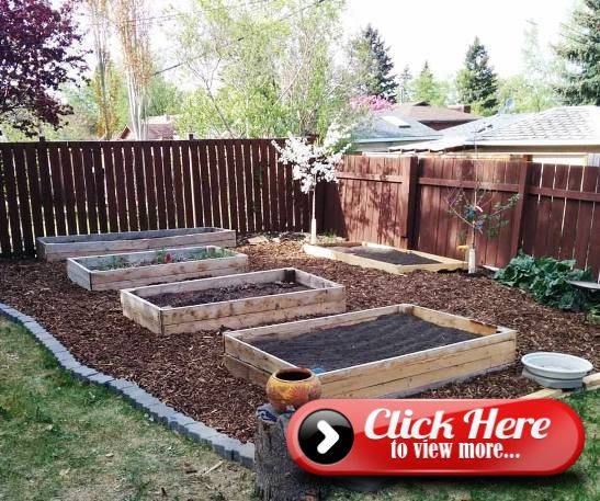 A Raised Vegetable Bed