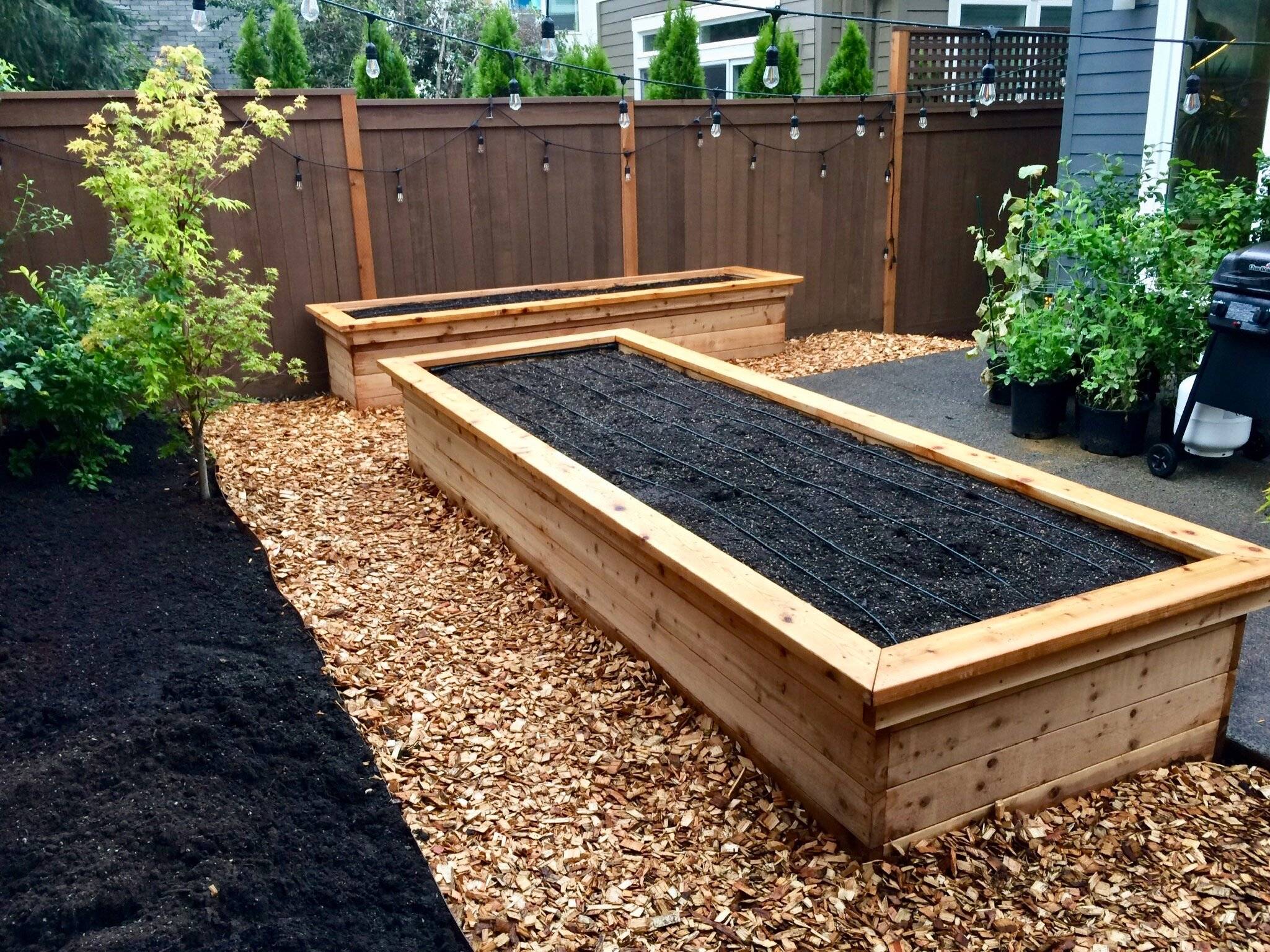 Cheap Easy Diy Raised Garden Bed Ideas