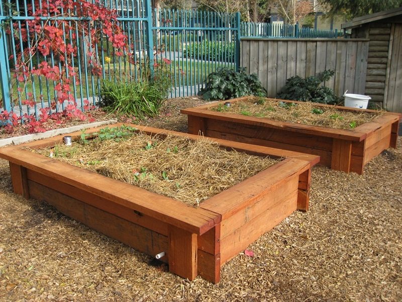 Garden Ideas Raised Home Ideas