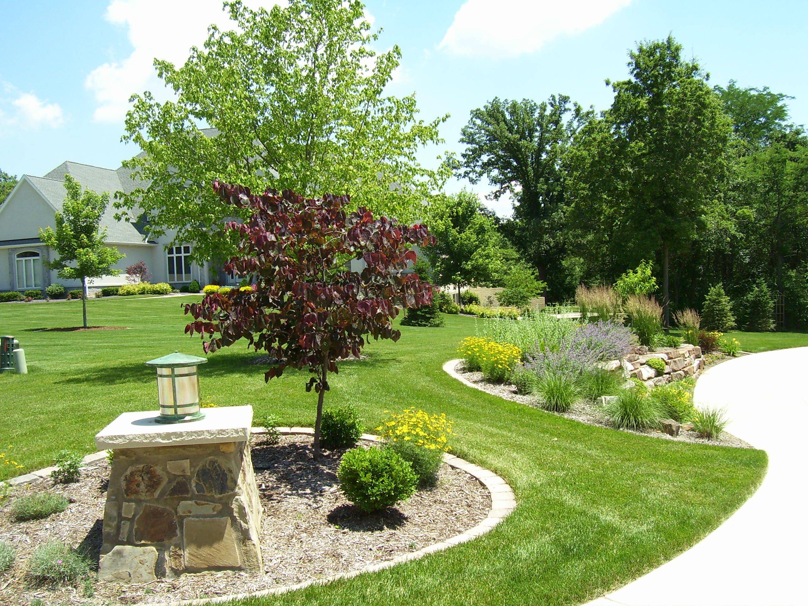 Lowmaintenance Front Garden Driveway Landform Landscaping