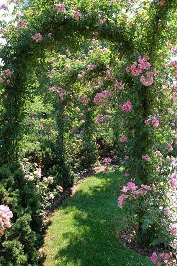 Best Cottage Style Garden Ideas