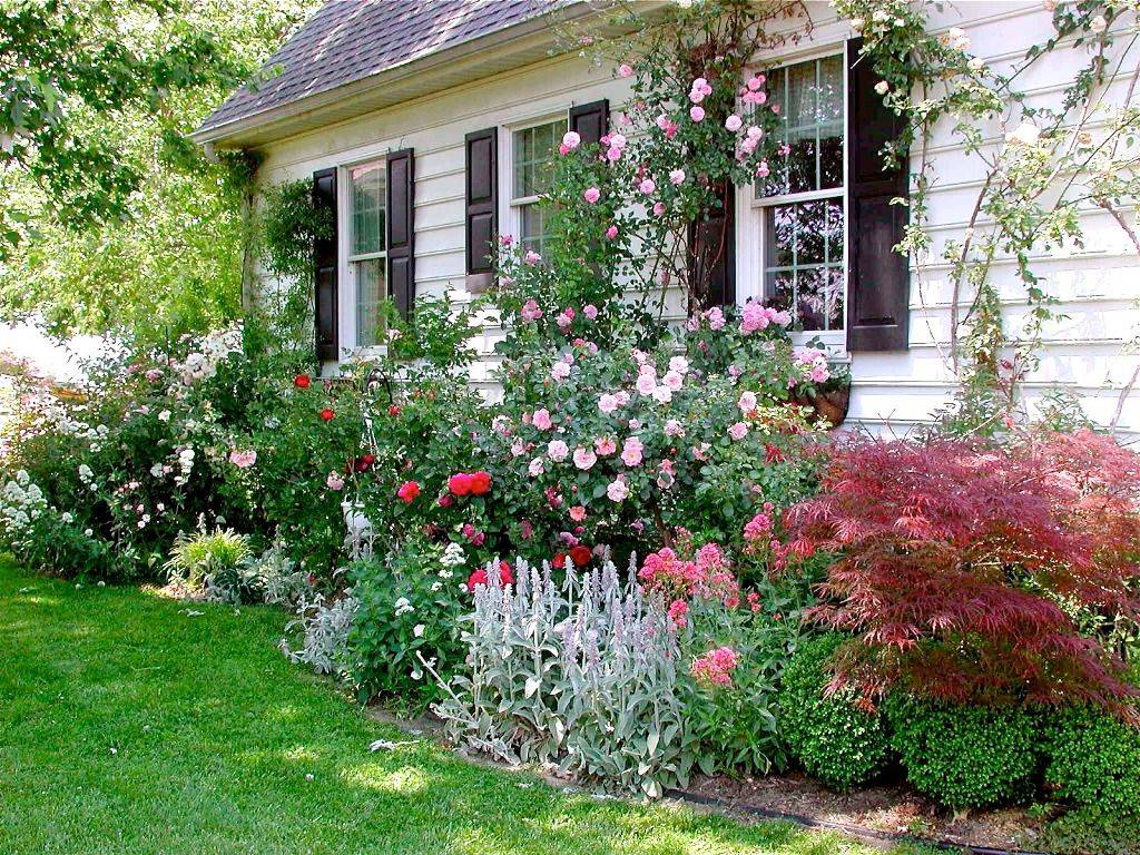Flower Garden Rose Cottage Garden Design