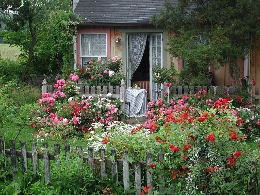 Pictures Of Rose Garden Ideas Photograph Gorgeous Rose Cot