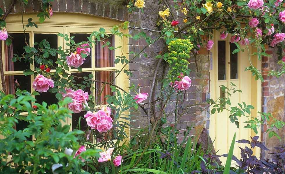 Eye Catching Front Yard Landscaping Ideas