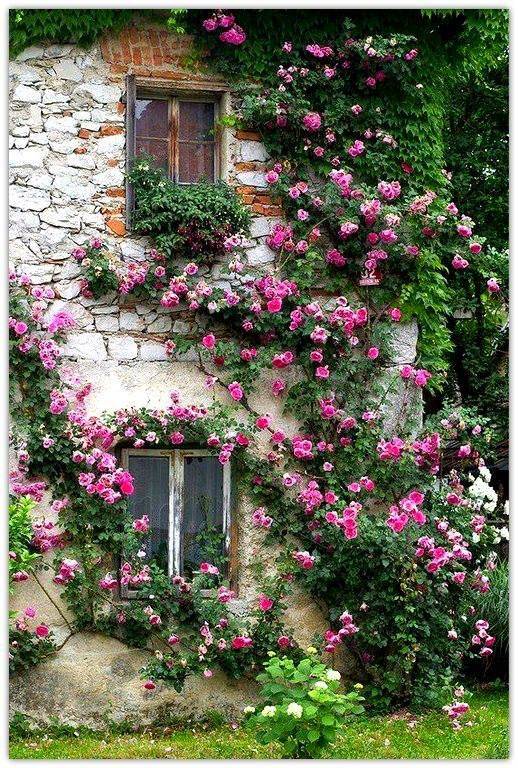 A Quintessential English Cottage Garden