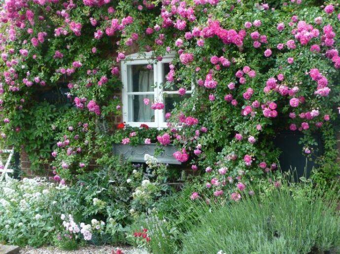 A Cottage Garden Womans Weekly
